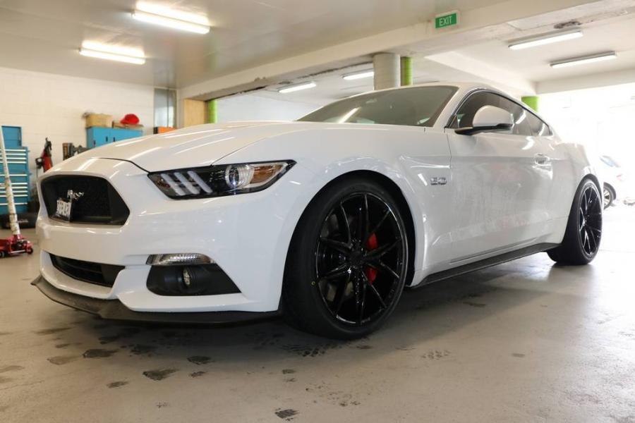 FORD MUSTANG | NICHE MISANO